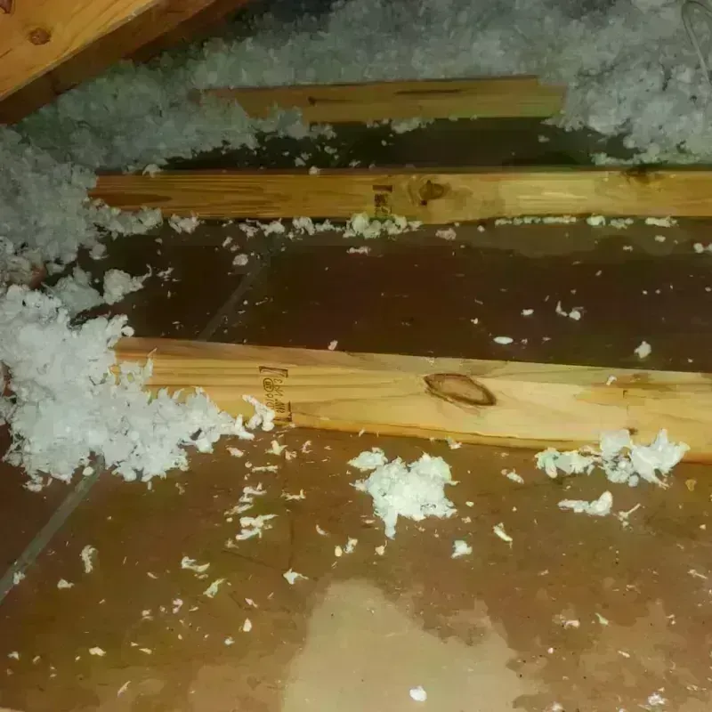 Attic Water Damage in Truckee, CA